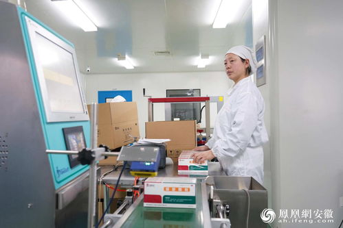 聚焦科技兴企 创新引领工业精品凤凰网安徽 凤凰网