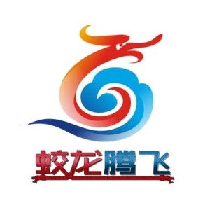 深圳市蛟龙腾飞网络科技