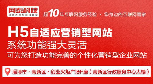 张店网站制作公司 张店网站制作 淄博网泰科技 查看
