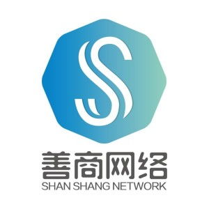 杭州善商网络科技 推动数字化创新的领航者