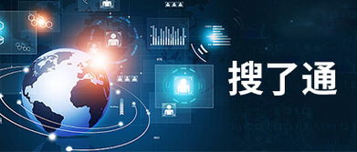 深圳市搜了网络科技股份有限公司 技术创新引领动态发展